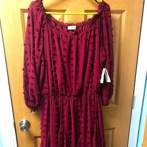A Beautiful Soul Burgundy Dress 14/16